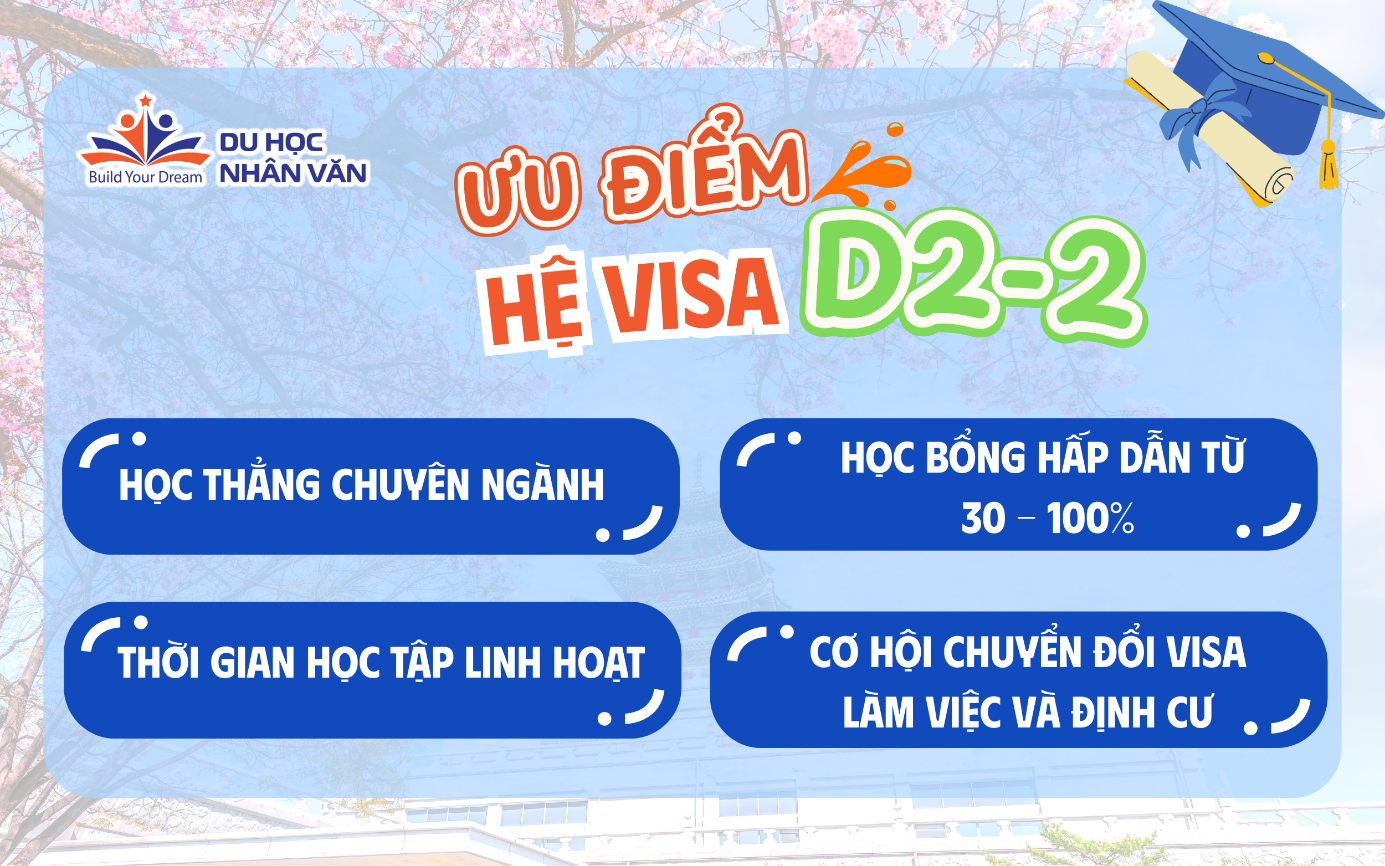 Hệ đại học